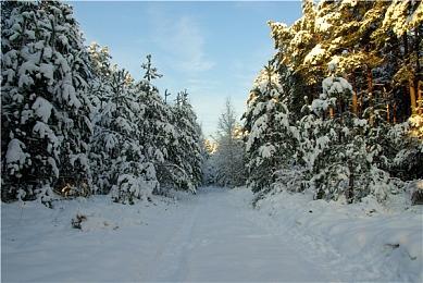 御三家Game：主机玩家的专属乐园，解锁游戏体验新方式